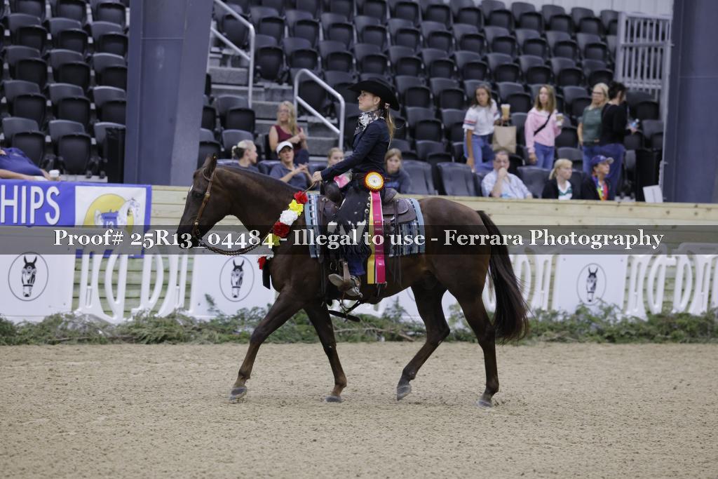 Proof Number 25R13_04484