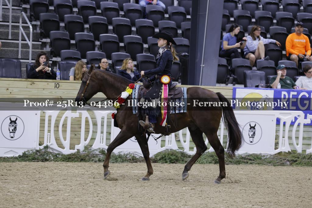 Proof Number 25R13_04486
