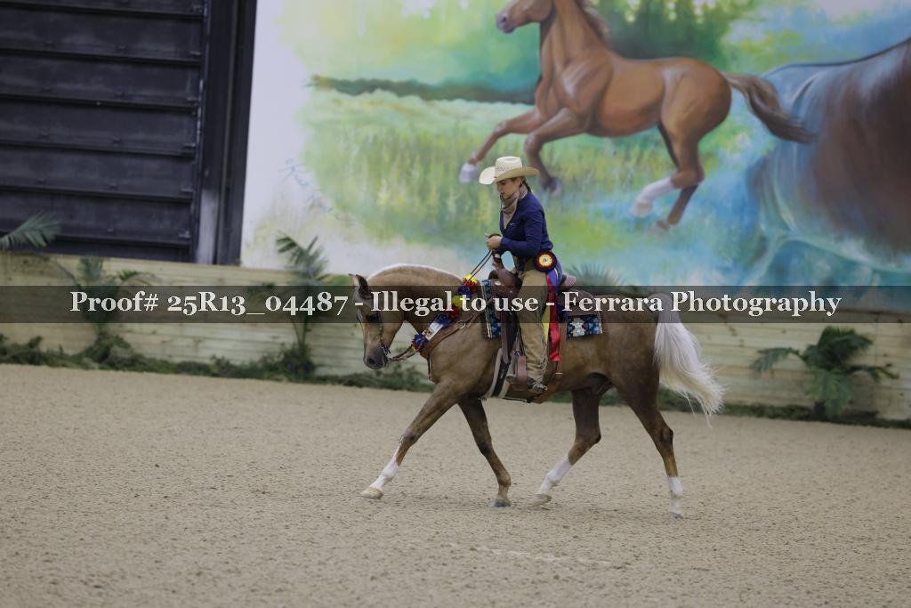 Proof Number 25R13_04487