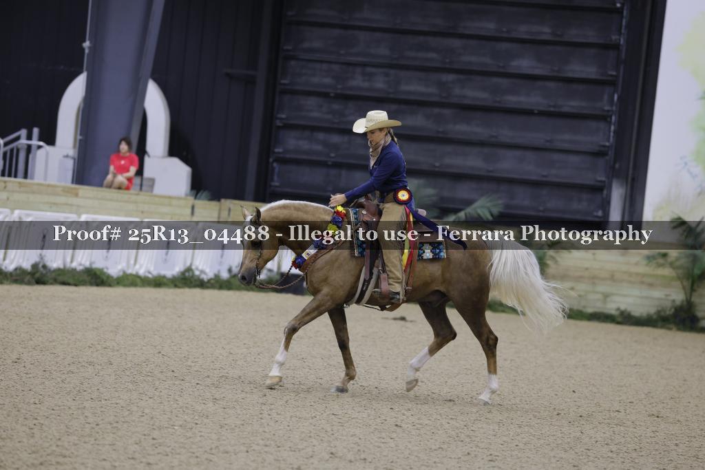 Proof Number 25R13_04488