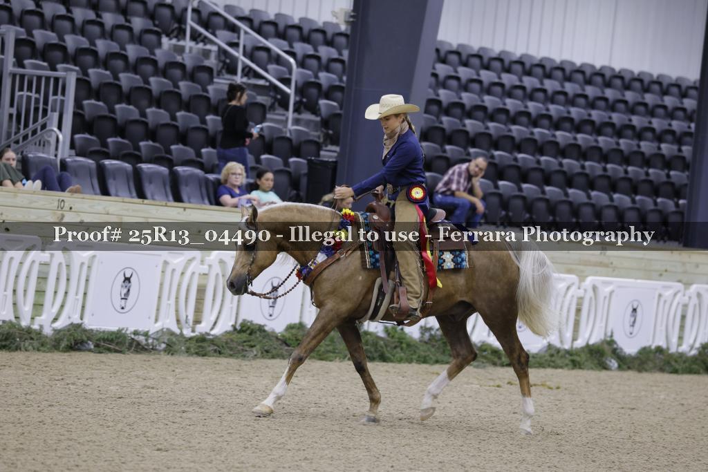 Proof Number 25R13_04490