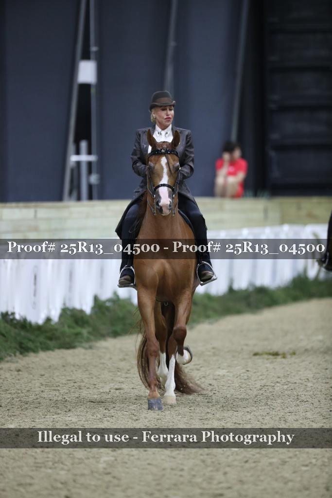 Proof Number 25R13_04500