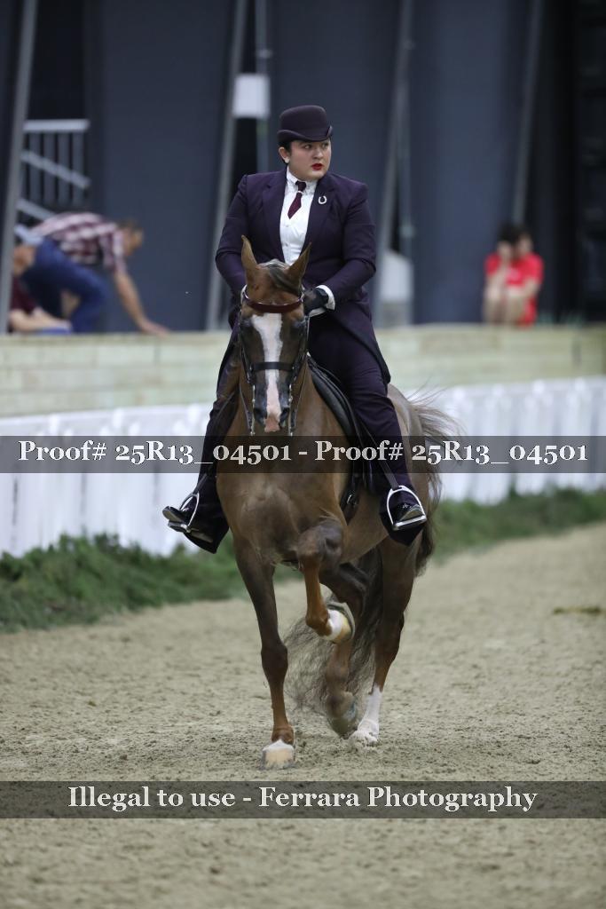 Proof Number 25R13_04501