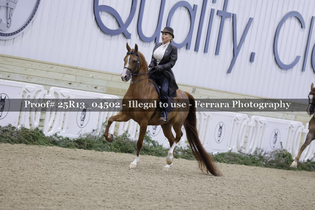 Proof Number 25R13_04502