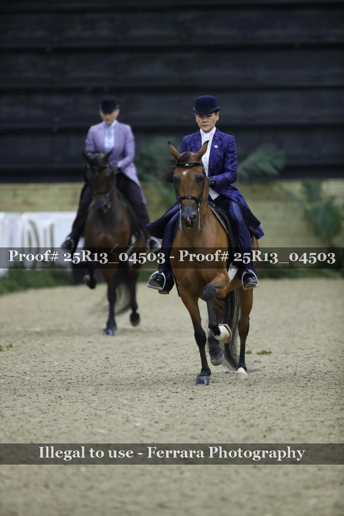 Proof Number 25R13_04503