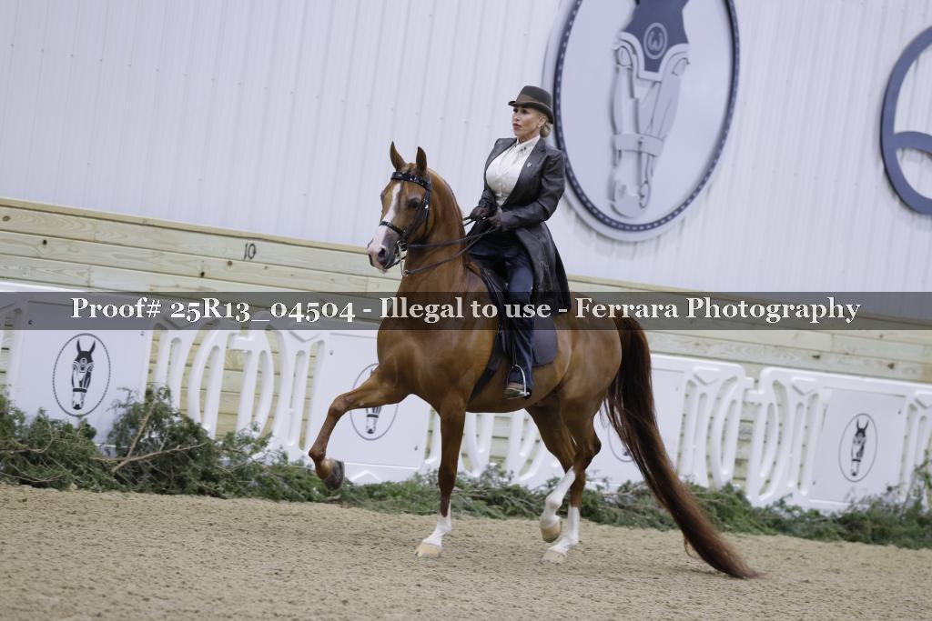 Proof Number 25R13_04504