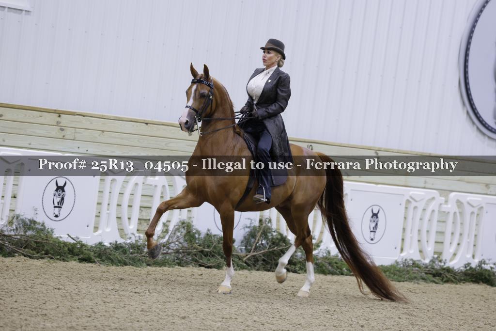 Proof Number 25R13_04505