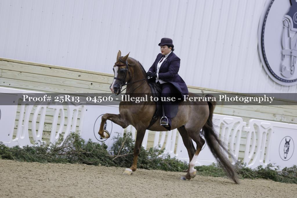 Proof Number 25R13_04506