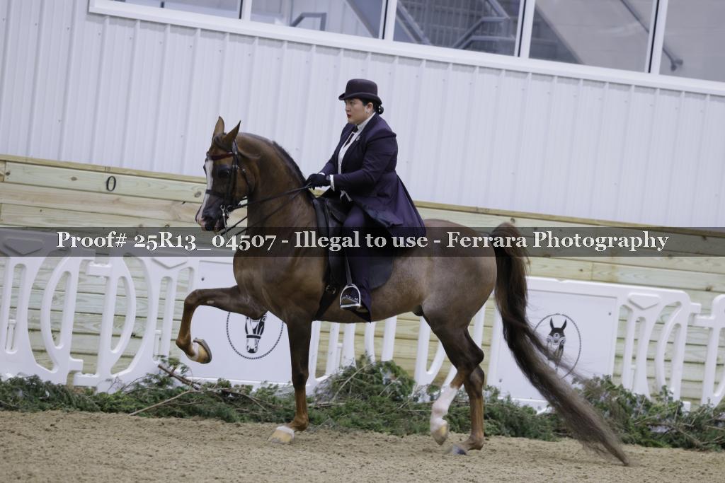 Proof Number 25R13_04507