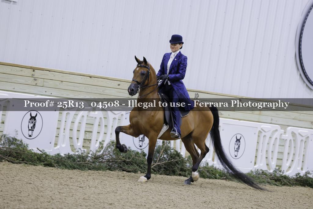 Proof Number 25R13_04508