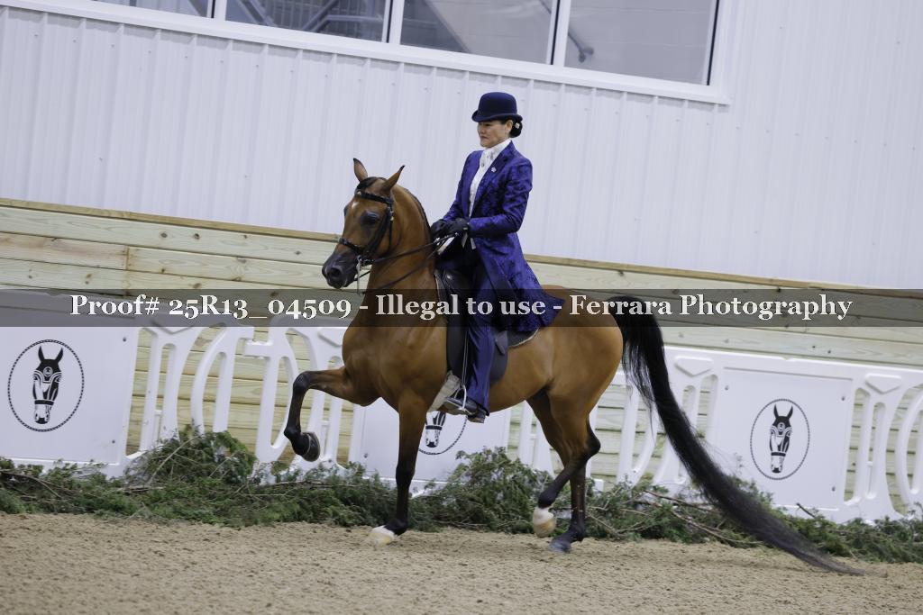 Proof Number 25R13_04509