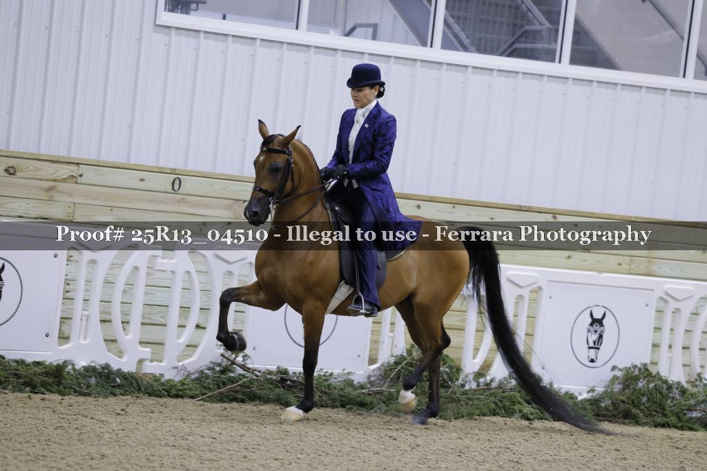 Proof Number 25R13_04510