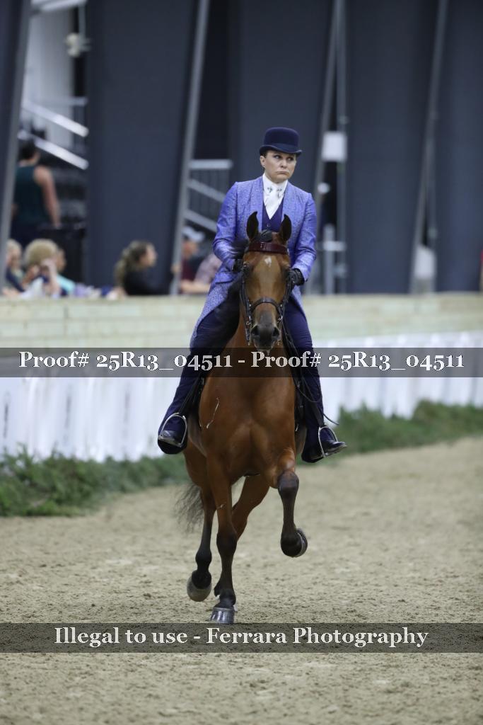 Proof Number 25R13_04511