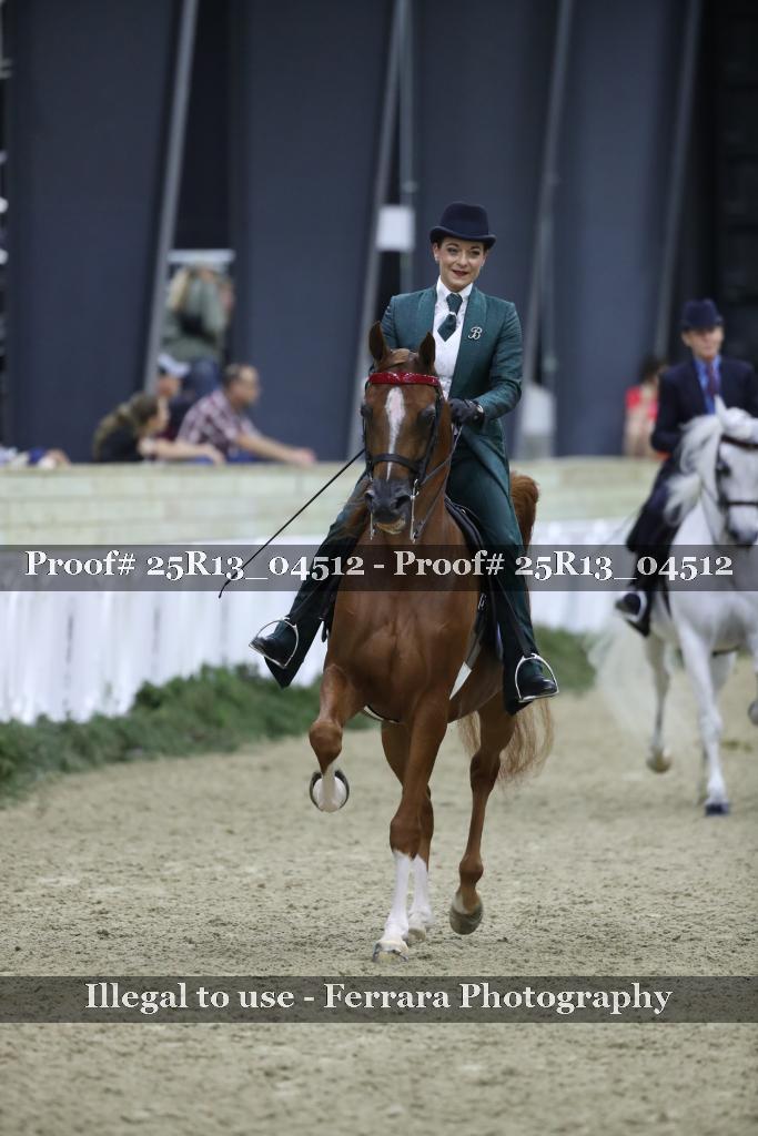 Proof Number 25R13_04512