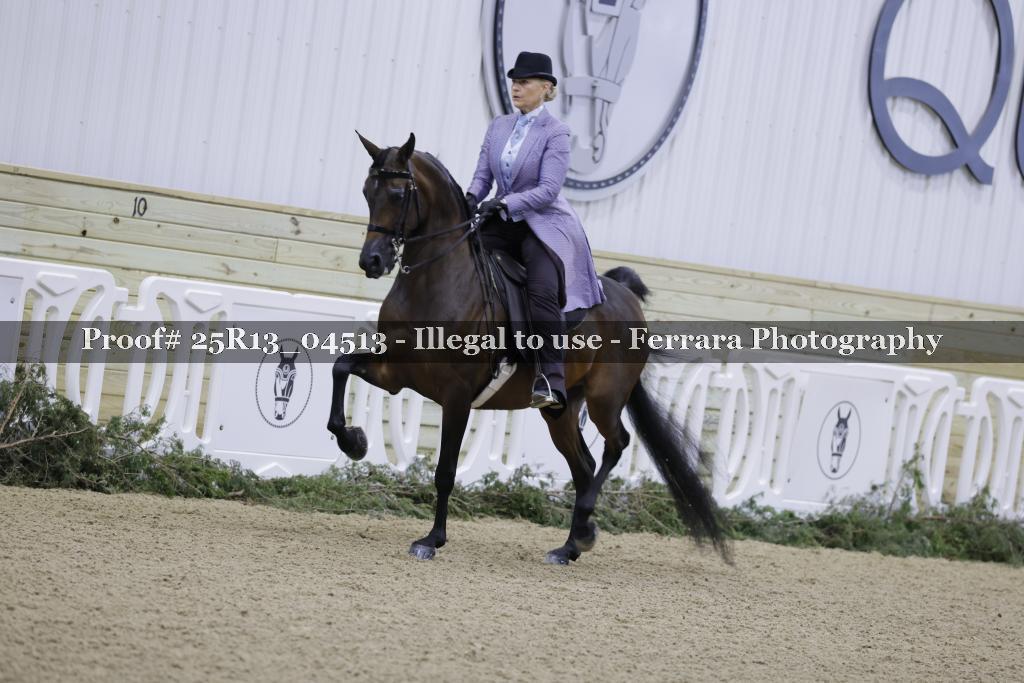 Proof Number 25R13_04513