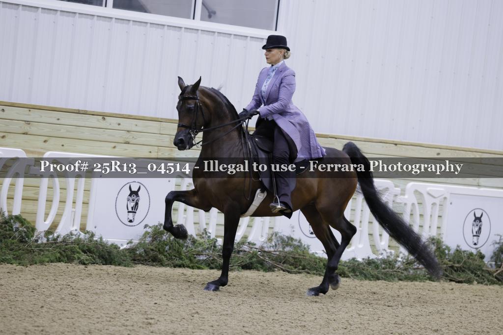 Proof Number 25R13_04514