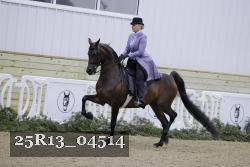 25R13_04514 thumbnail
