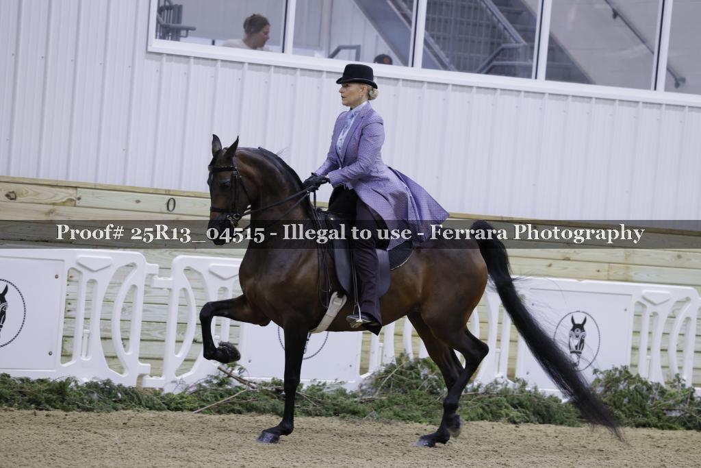 Proof Number 25R13_04515