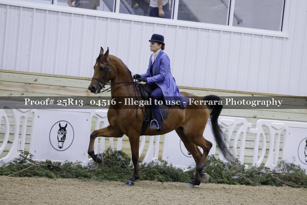 Proof Number 25R13_04516