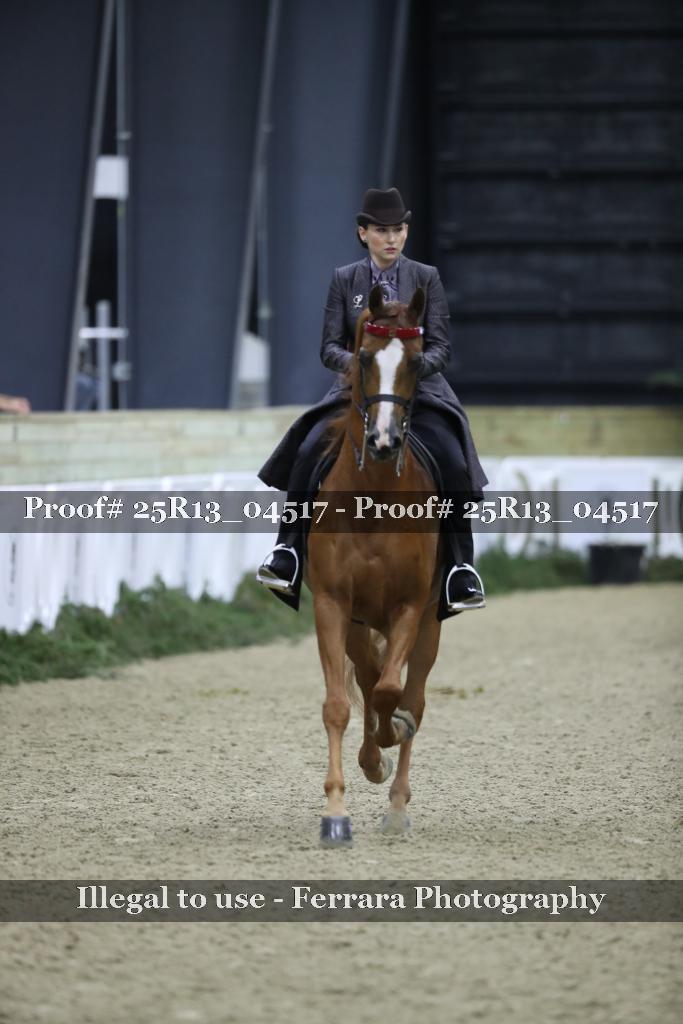 Proof Number 25R13_04517