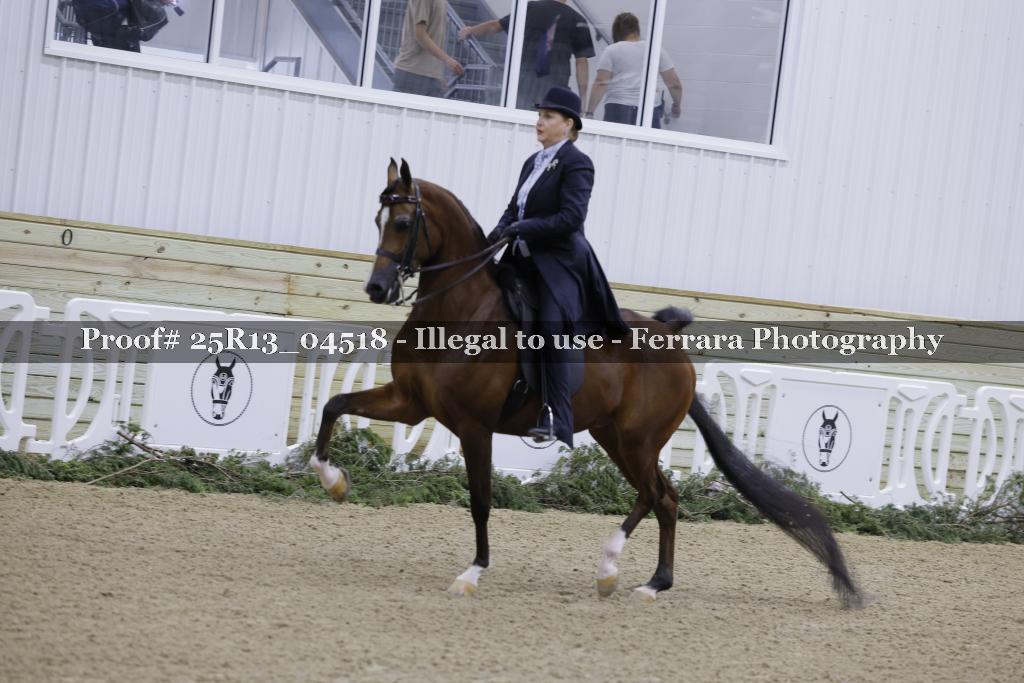 Proof Number 25R13_04518