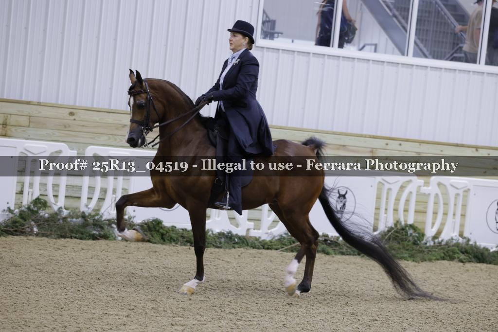Proof Number 25R13_04519