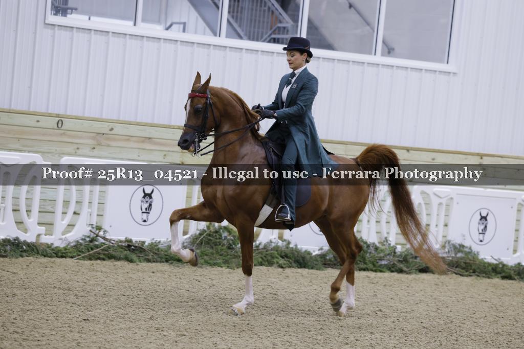 Proof Number 25R13_04521