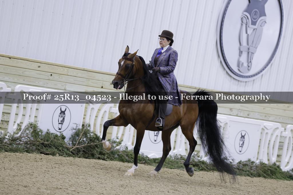 Proof Number 25R13_04523