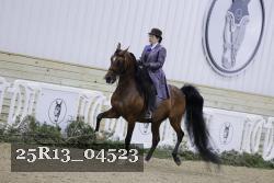 25R13_04523 thumbnail