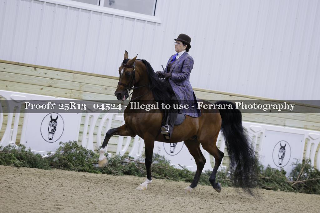 Proof Number 25R13_04524