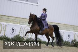 25R13_04524 thumbnail