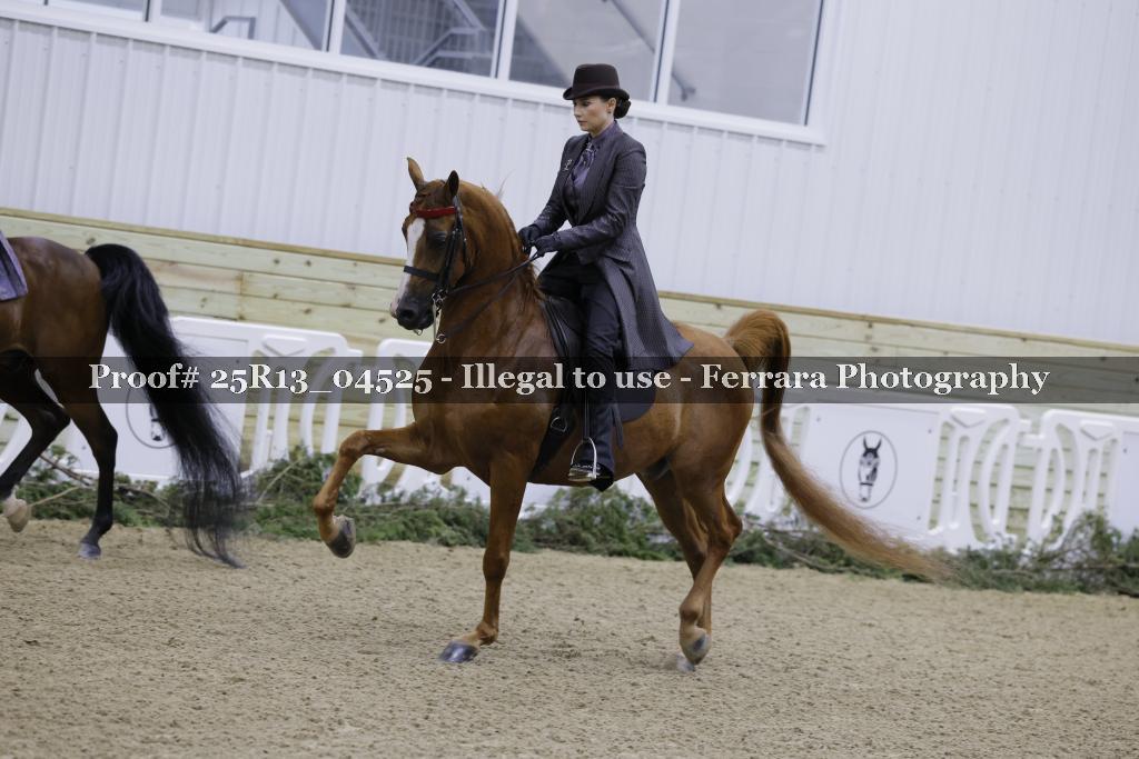 Proof Number 25R13_04525