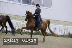 25R13_04525 thumbnail