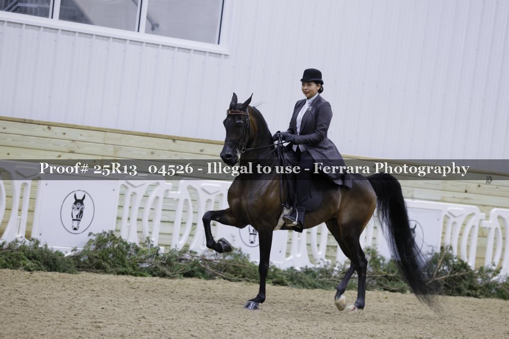 Proof Number 25R13_04526