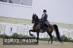 25R13_04526 thumbnail