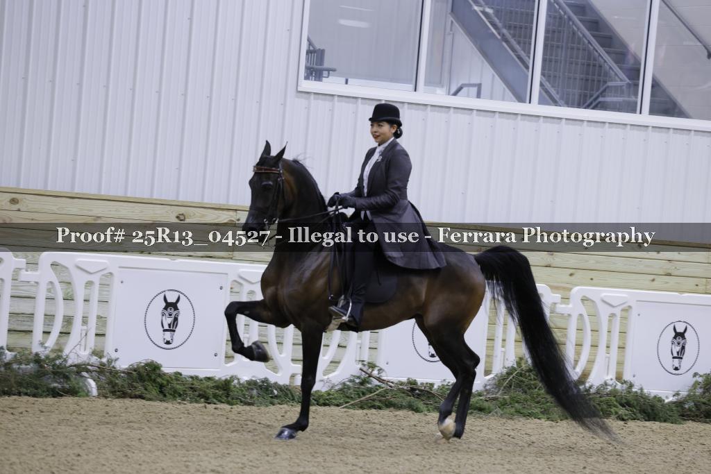 Proof Number 25R13_04527