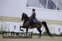 25R13_04527 thumbnail