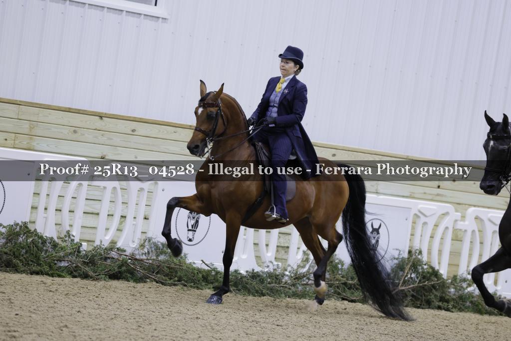 Proof Number 25R13_04528