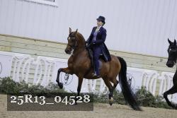25R13_04528 thumbnail