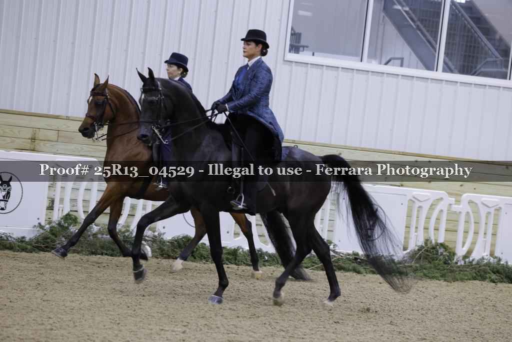 Proof Number 25R13_04529