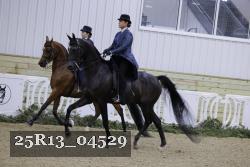 25R13_04529 thumbnail
