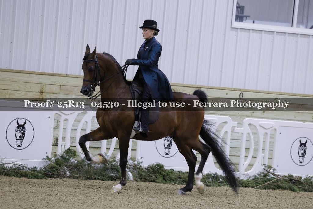 Proof Number 25R13_04530