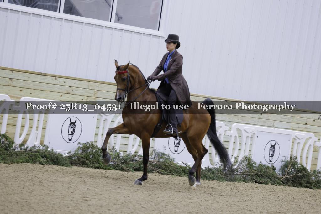 Proof Number 25R13_04531