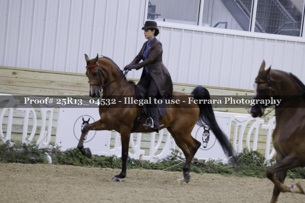 Proof Number 25R13_04532