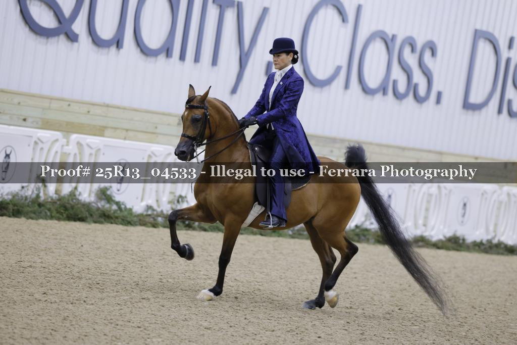 Proof Number 25R13_04533