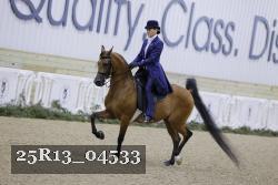 25R13_04533 thumbnail