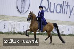 25R13_04534 thumbnail