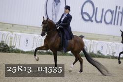 25R13_04535 thumbnail