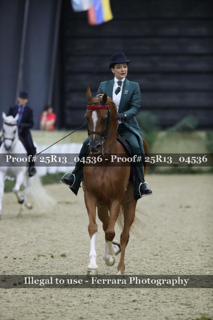 Proof Number 25R13_04536