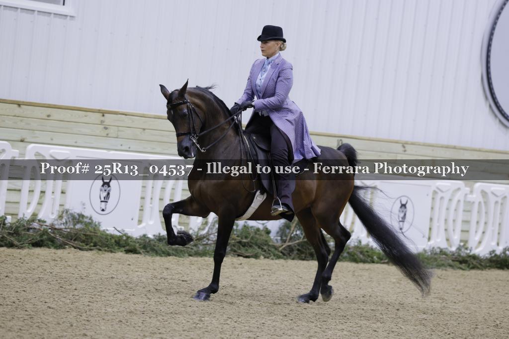 Proof Number 25R13_04537